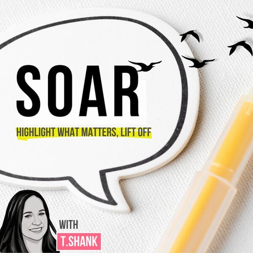 Soar is a podcast for nonprofit and corporate employees who are looking to achieve a happy work life.