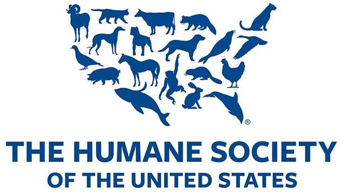 The Humane Society of the United States is a great example of nonprofit logo design because of its unique illustration. 