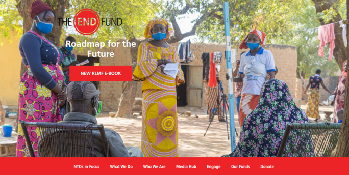 The End Fund has an engaging nonprofit website design with consistent branding. 