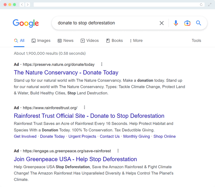 This screenshot depicts Google Ad Grants on a search engine results page.
