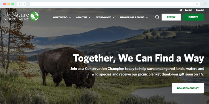The Nature Conservancy uses CTAs effectively, creating a strong nonprofit web design.