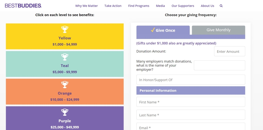 Best Buddies branding is consistent across their website, including in their donation forms.