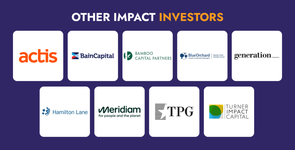 This graphic shows the logos of several other top impact investors.